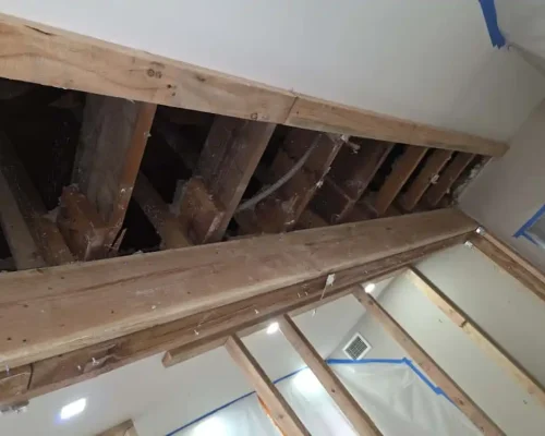 WhatsApp Image 2025-10-27 at 12.19.44 (1)